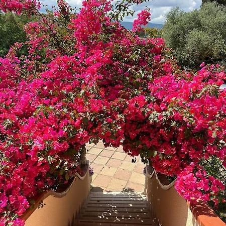 איגלסיאס Casa Vacanze La Brii מראה חיצוני תמונה
