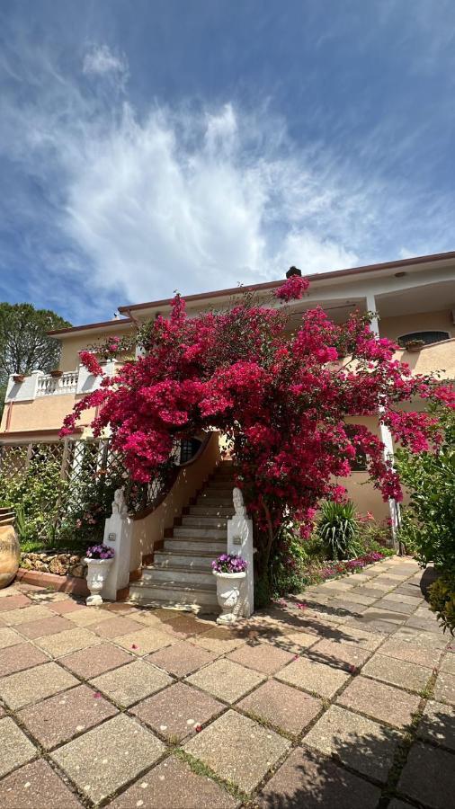 איגלסיאס Casa Vacanze La Brii מראה חיצוני תמונה