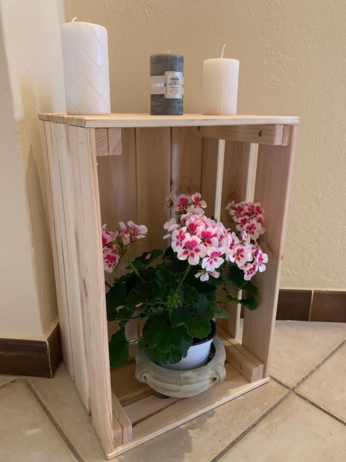 איגלסיאס Casa Vacanze La Brii מראה חיצוני תמונה